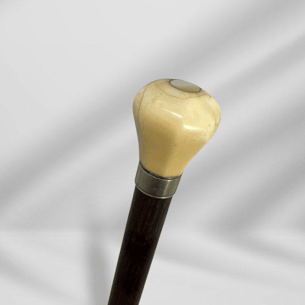 Antique Round Handle Ivory Walking Stick Cane Dark Brown Unisex
