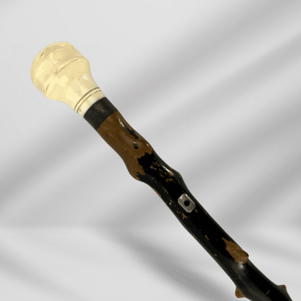 18th Century Antique Knob Handle Ivory Original branch Collar Finishing Walking Stick Cane
