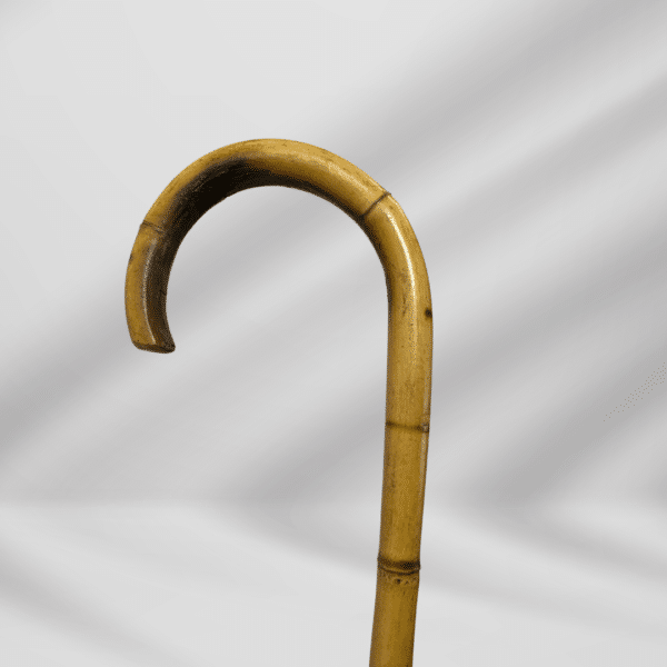 Antique Bamboo Walking Stick Cane