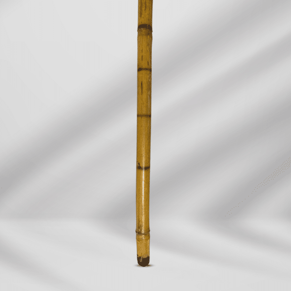 Antique Bamboo Walking Stick Cane