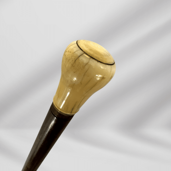 Antique Ivory Knob Handle Gold Plate Tip Walking Stick Cane Brown Color